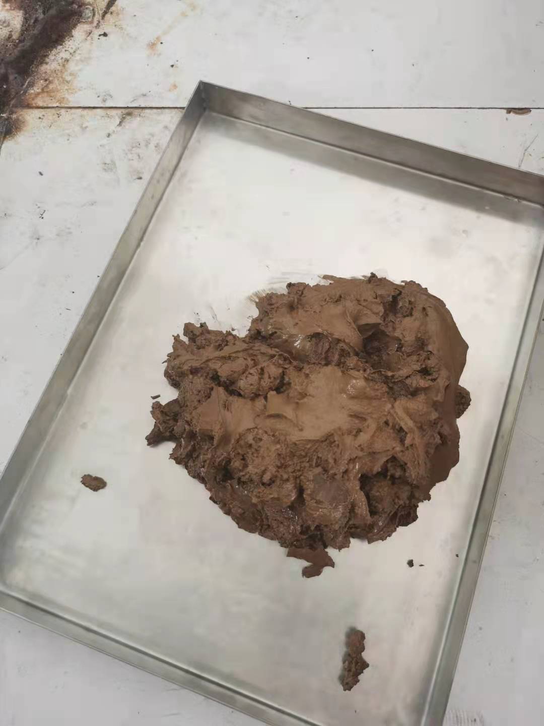 菌泥冻干案例展示